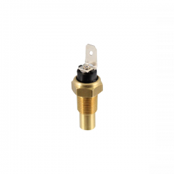 Capteur température RS-RGV 250
