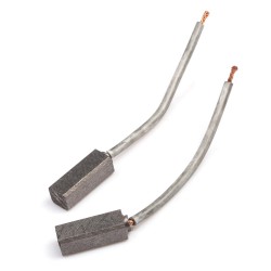 Carbons alternateur...