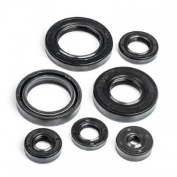 Joints spi moteur 380 GT