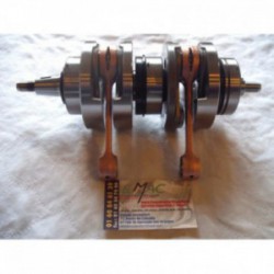 Vilebrequin 250 RS - 250RGV...