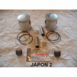 Kit 2 pistons complets...