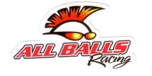 All Balls Racing